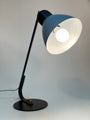 Leaning Light of Kiwi Table Lamp