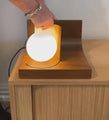 Revolving World Table Lamp